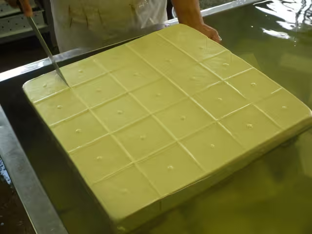 水にさらした豆腐