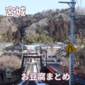 宮城特集表紙