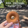 お豆腐ドーナツ写真