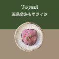 【Topeni coffee stand】マフィン